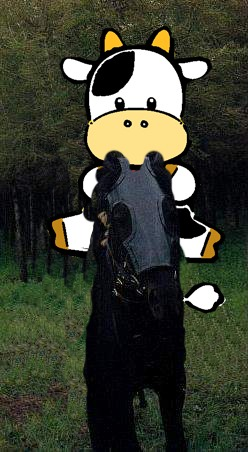7.png
